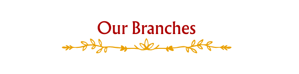 HSIS Gold Caro branches across Punjab including Chandigarh, Ludhiana, and Malerkotla locations.